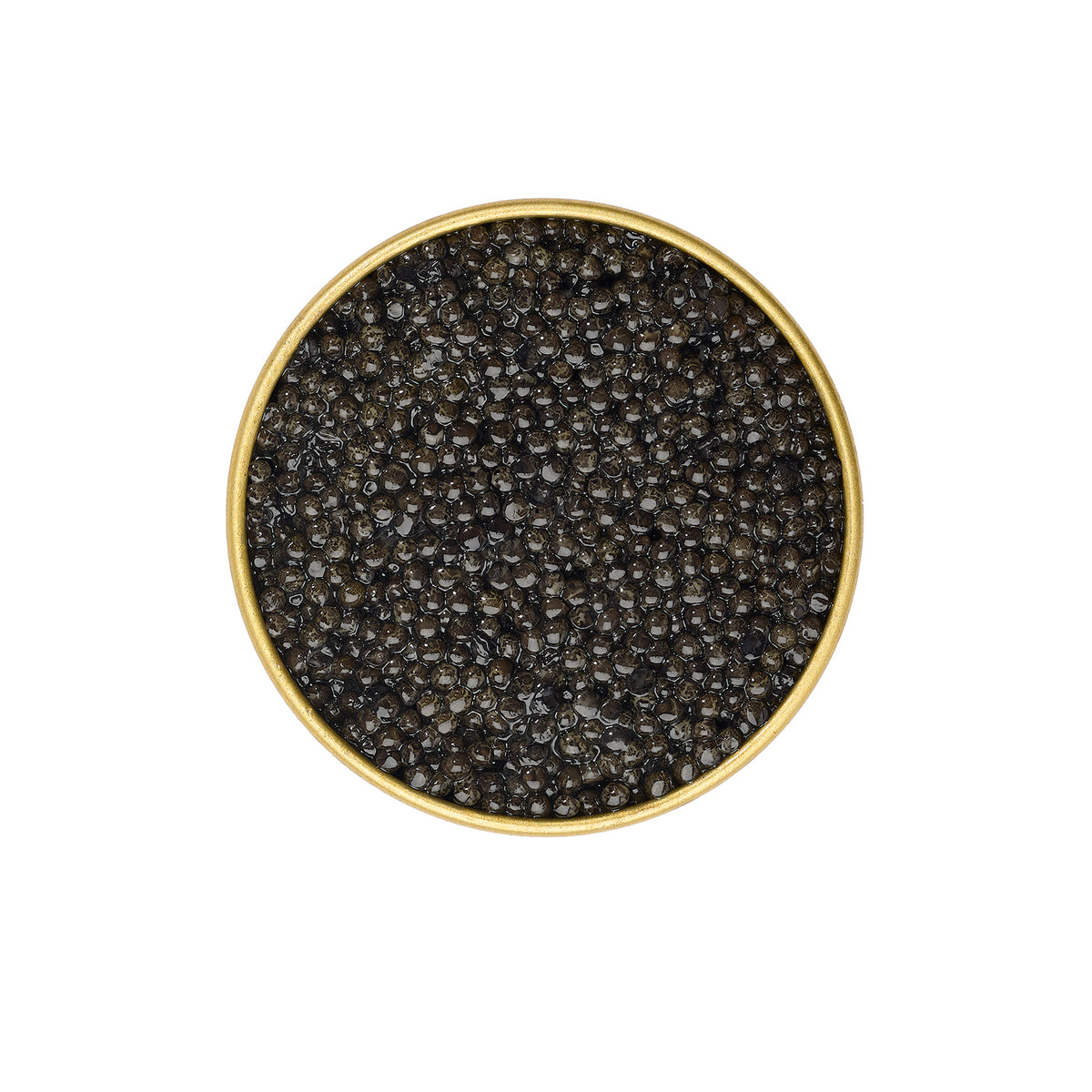 Caviar Baeri Prunier Tradition
