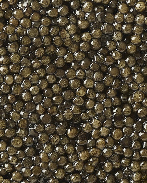 Caviar Baeri Prunier Paris