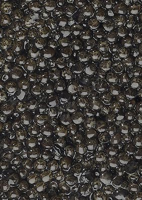 Caviar Baeri Prunier Tradition