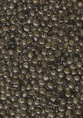 Caviar Osciètre Prunier Classique