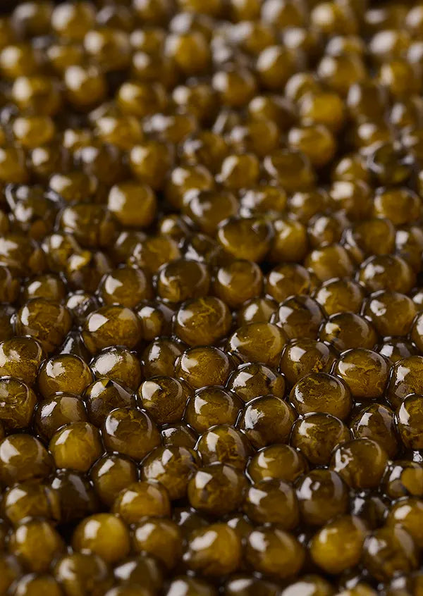 Caviar House Finest Caviar Kaluga