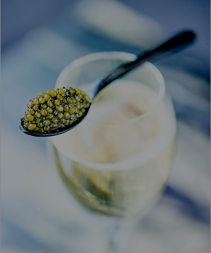 CAVIAR HOUSE