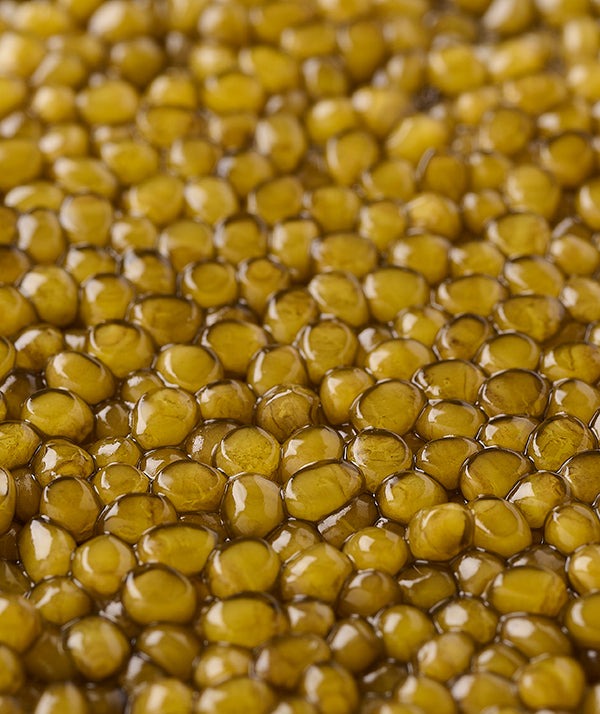Caviar House Impérial