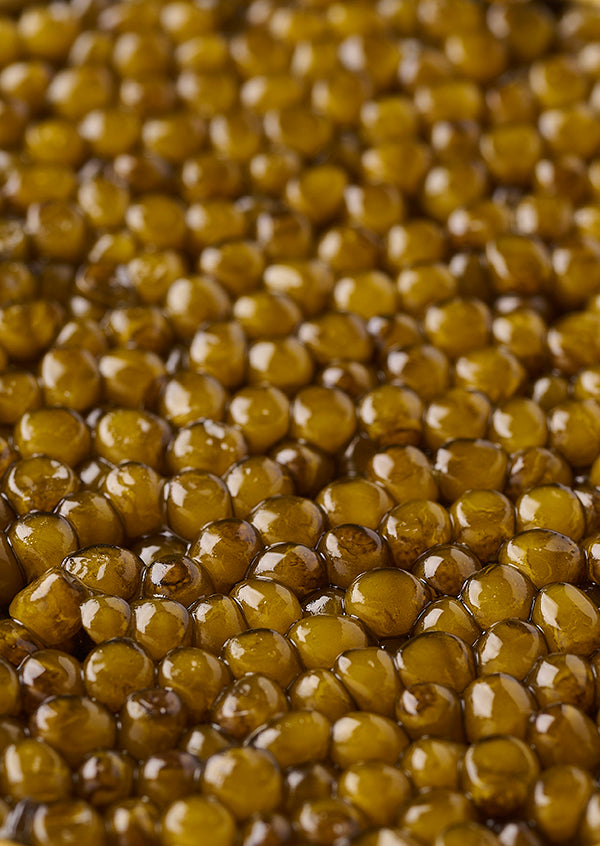 Caviar House Qiandao