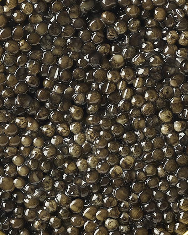 Caviar Baeri Prunier St James