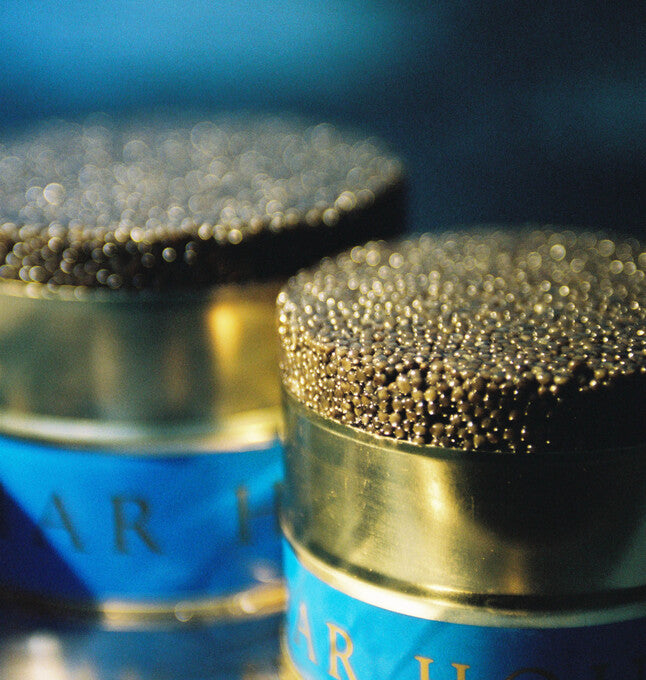 Kaviardosen von Caviar House
