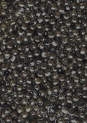 Caviar Baeri Prunier Tradition 30 g