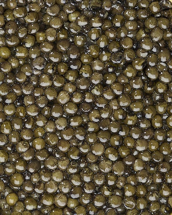 Prunier Oscietra Supérieur 30 g